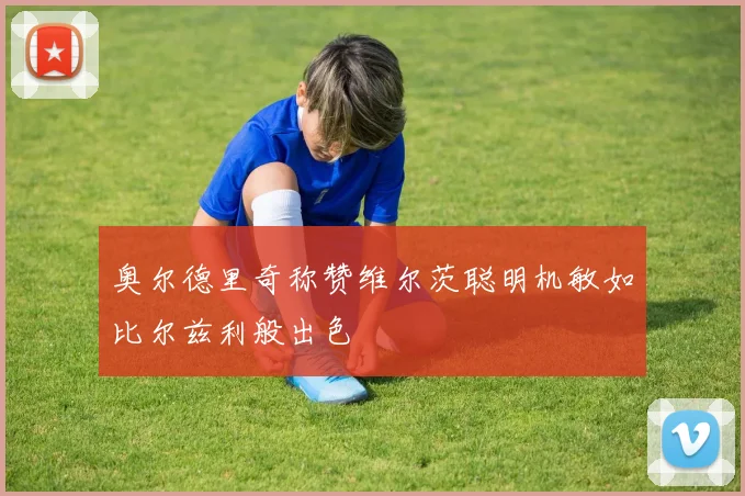 奥尔德里奇称赞维尔茨聪明机敏如比尔兹利般出色